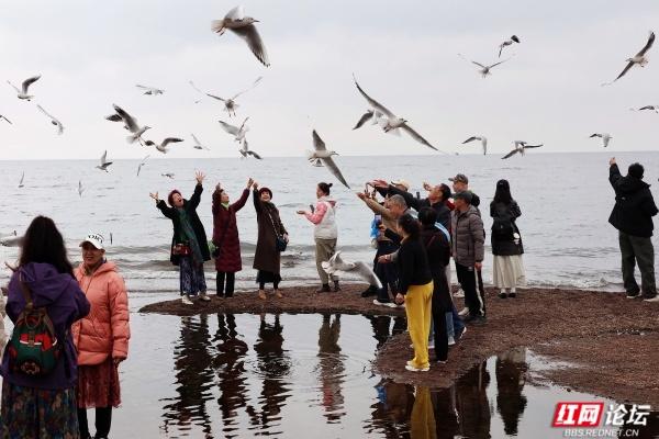 岁暖时刻丨抚仙湖边：海鸥和游客的“湖岸小派对”