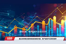 国企改革概念股持续活跃湖南天雁、物产金轮午后双双涨停