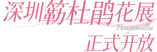 挤爆莲花山！深圳20万m²超大型花展，今天开始