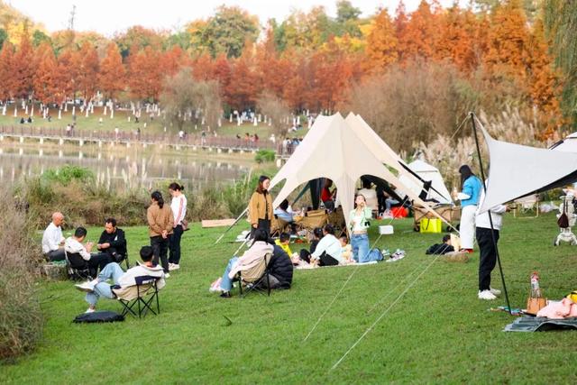 这含“金”量，不摆啦！贵阳的秋天，谁懂？