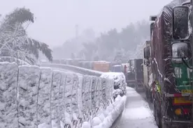 冻伤的青蛙，停摆的市场，结冰的高速：湖南暴雪五日图片