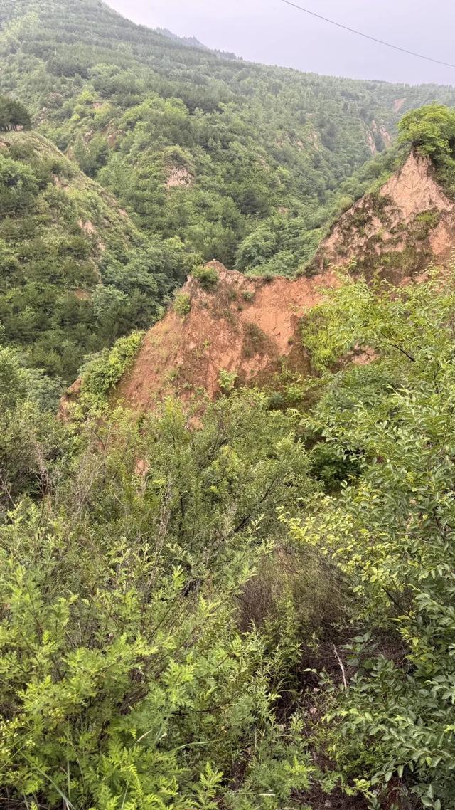 避暑去大同（三）