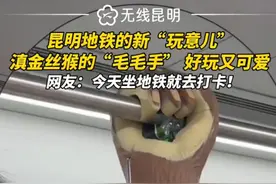 地铁5号线拉手戴“手套” 你怎么看？图片