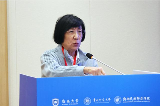 “山海文明——屯堡文化海南论坛”举办