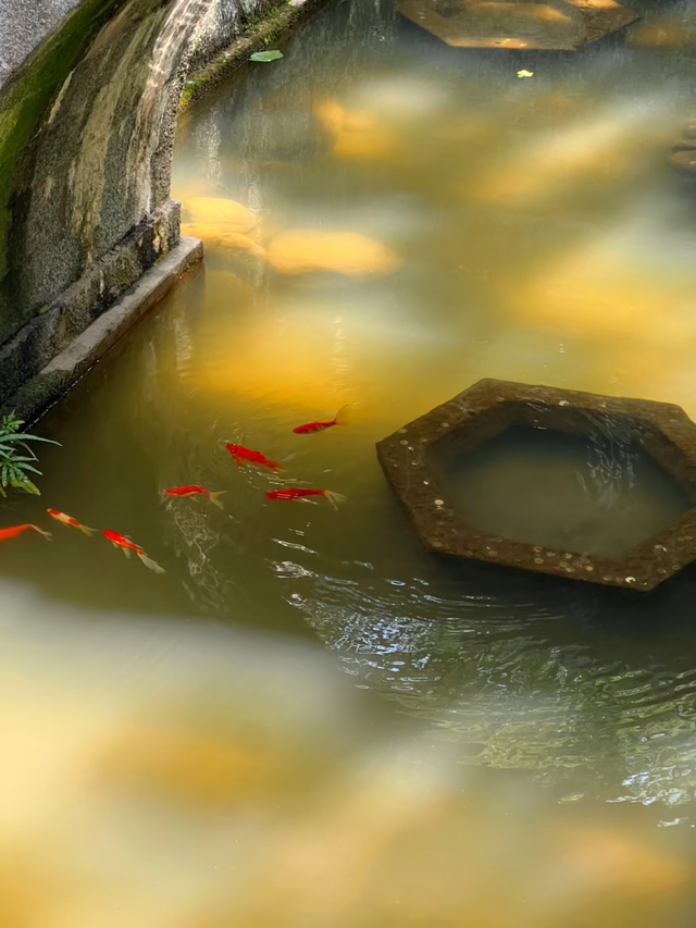 来江西书院赏秋，聆听穿越千年的风雅颂！