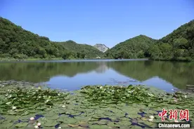 探杭州铜鉴湖：老矿山变身城市“大海绵”图片