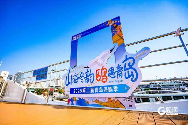 五大场景全域联动！从云端到海岸，青岛邀您开启鸥遇之旅