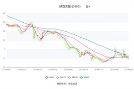 陕西黑猫：2024年上半年亏损4.46亿元图片