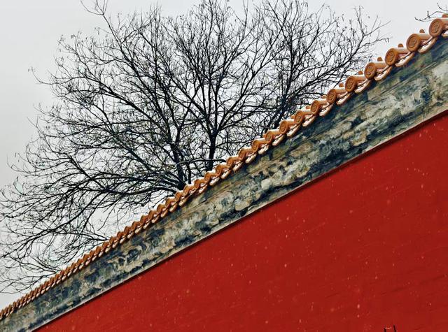 京城初雪如约而至！雪落无声，人游有影