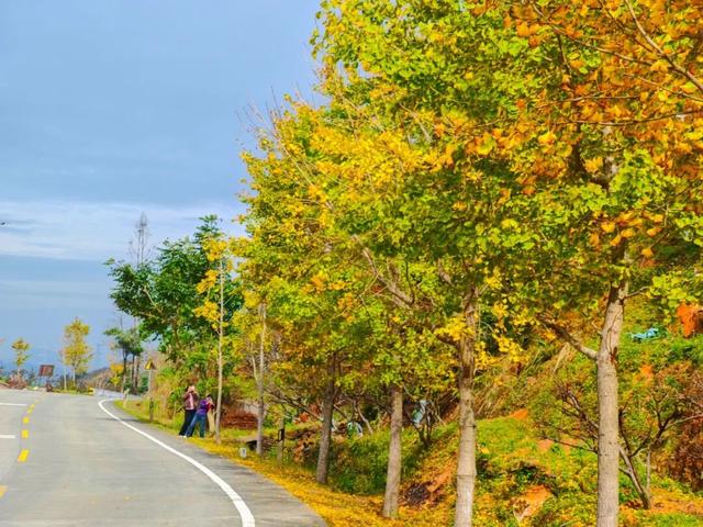 信宜这条“黄金走廊”很出片