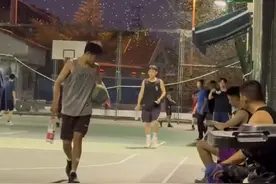 上海多位市民称市区出现大量白蚁，专家：不建议个人使用消杀药剂图片