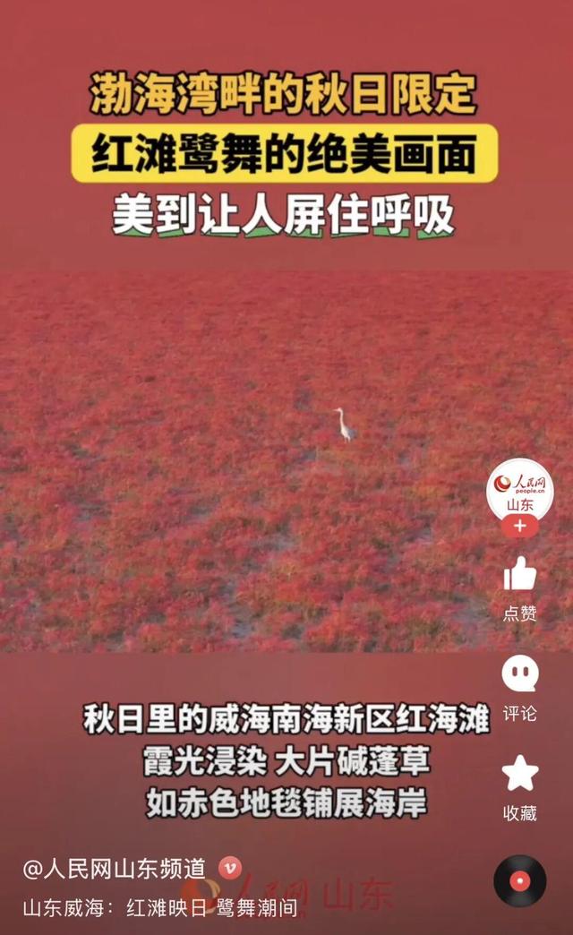 南海红海滩刷屏 网友争相打卡