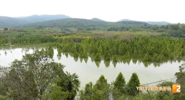 禁止入内，谢绝游览！昆明这个网红打卡点封闭管理