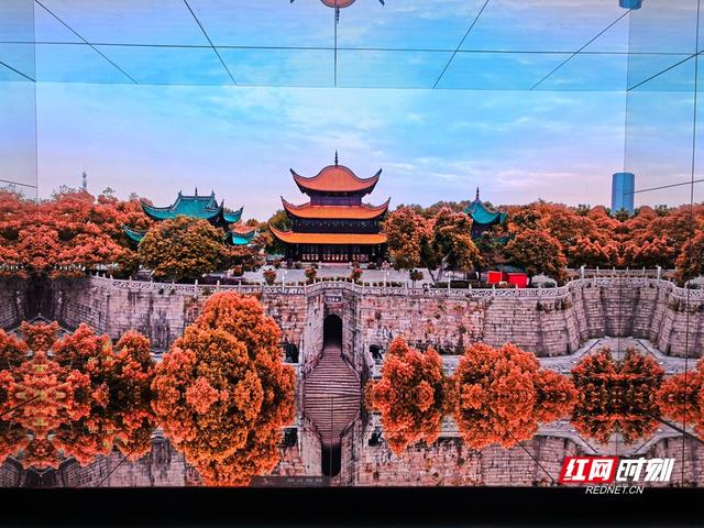 湘见万年丨付淑华：做与游客共情的博物馆