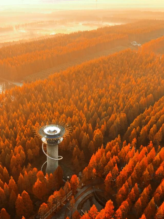 秋天基础，盐城的秋景就不基础！