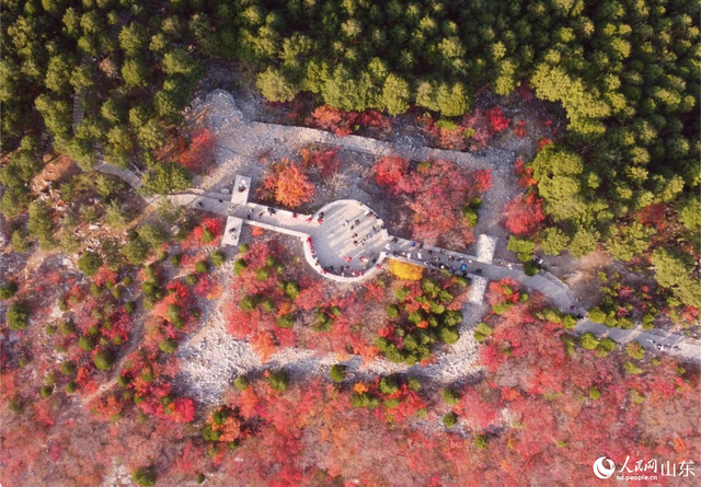 行进中国丨绿道蜿蜒处，山色入城来