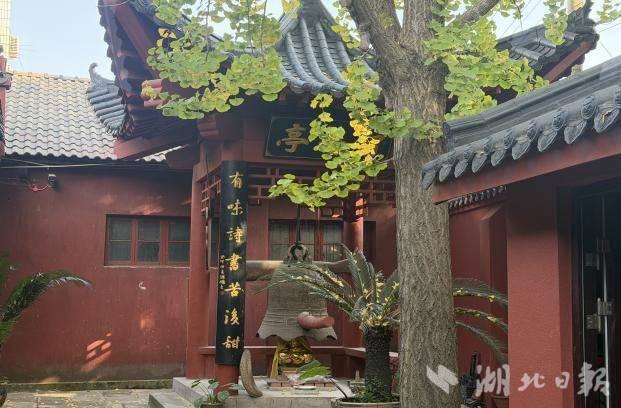 人气顶流！杏运西城citywalk攻略来了！