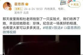 霍思燕收养的比格犬什么来头？ 关注那些公众视野之外的实验犬丨封面深镜图片