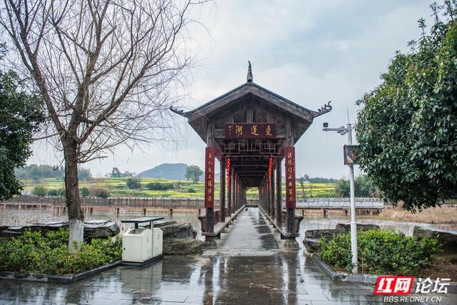 岁暖时刻丨寻访"爱莲说"的诞生地：秋色浸染的道县楼田村