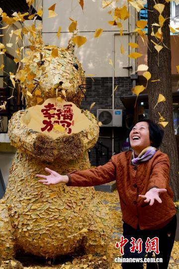 浙江杭州银杏金黄美如画 吸引市民游客打卡