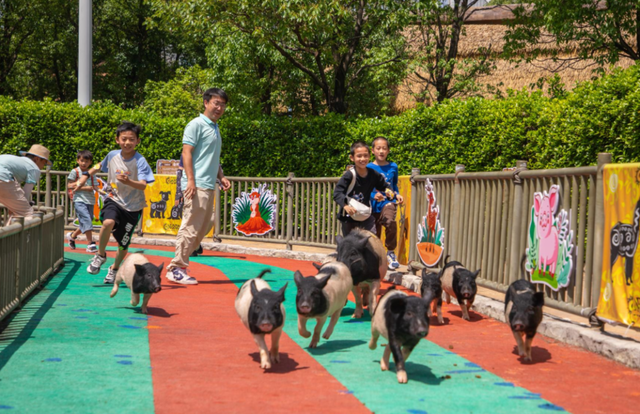 桂林融创乐园海世界，这样玩！