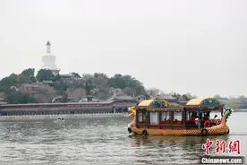 京城北海公园山桃花开映白塔图片