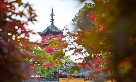 周末去打卡丨红了！吴江追“枫”宝典请收藏