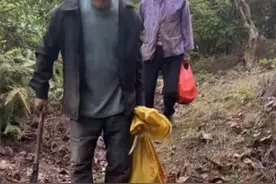 孙子爱吃竹笋，85岁爷爷奶奶清晨进山去挖，当事人：不只是笋，是沉甸甸的爱图片