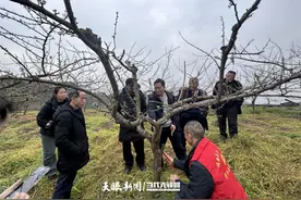 播州区龙坪镇：科技赋能春管忙图片