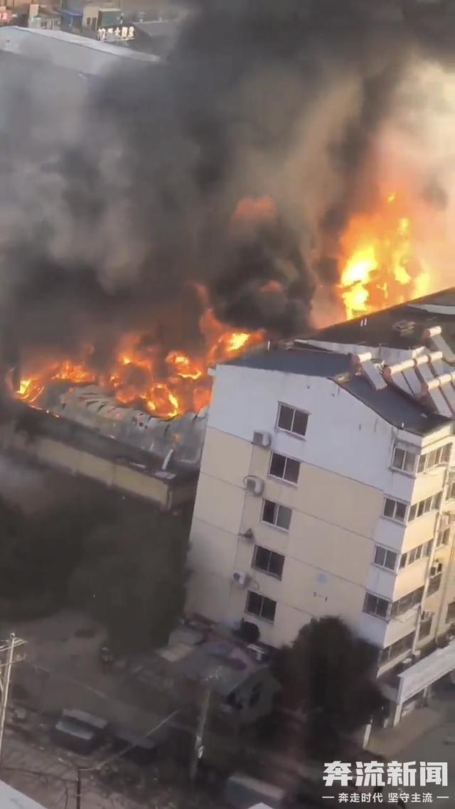 河南洛阳一仓库突发大火  暂无人员伤亡