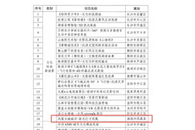 凤凰古城磁浮入选湖南文旅“新花YOUNG”优秀项目图片