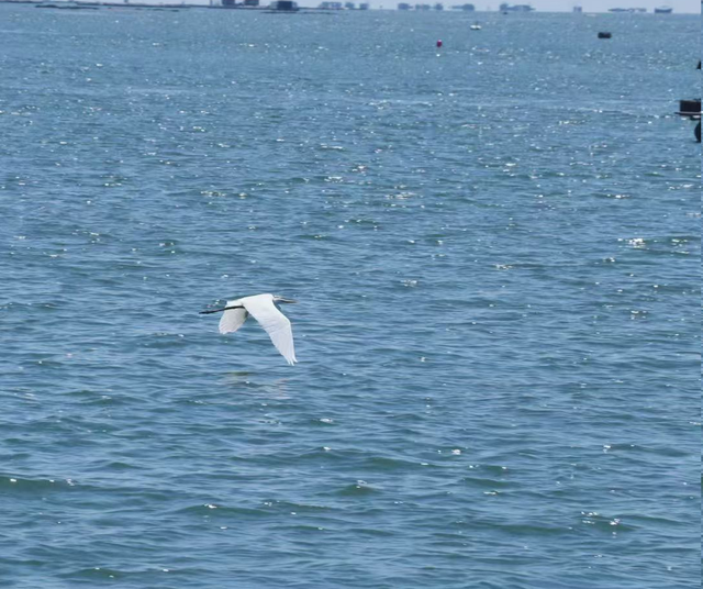 跟着赛事去旅行 | 中越界河风景区：走进自然与城市和谐共生的美丽画卷