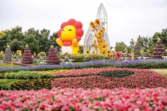 上海秋日浪漫天花板！这些花海美到让人心醉