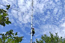 办得好丨一条留言，大别山区深处信号“满格”图片