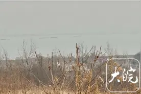 不起眼的山头竟藏着远古人类石器加工厂——探秘合肥巢湖蛇山图片