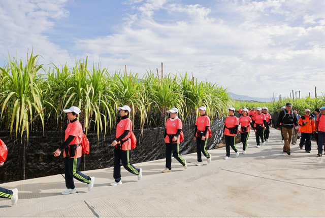 千人徒步丈量“功夫永春” 文体旅融合展县域魅力