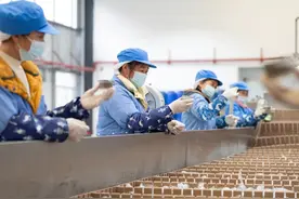 乡村振兴周刊｜一亿美元大单！  石柱莼菜自营出口突围记图片