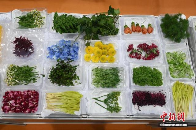 香港餐饮展开幕 “炒菜机器人”吸睛