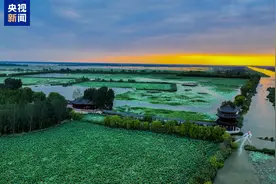 沿着大运河游山东 这10条文化旅游精品线路别错过图片