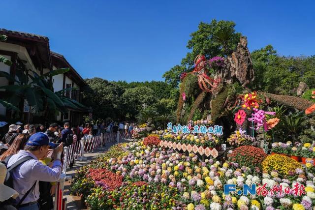 2万多株！福州西湖又上新！