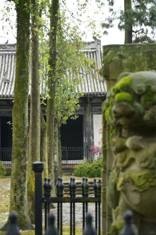世运会“燃”不停，仁寿“游”点不一样~