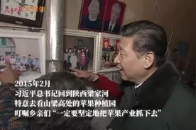 “红苹果”正变成“金苹果”图片