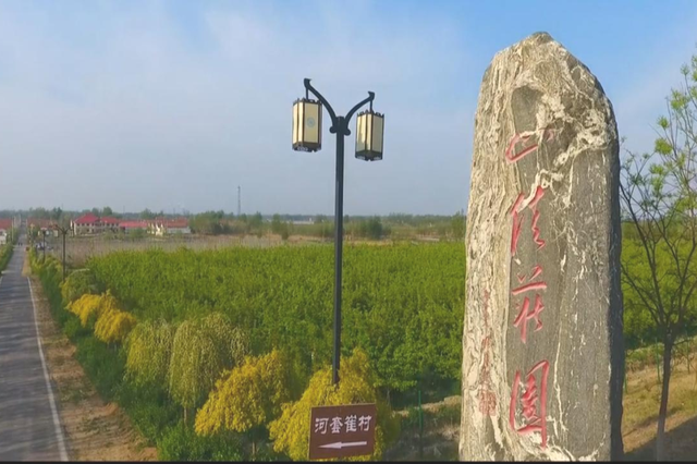 畅游“十一”