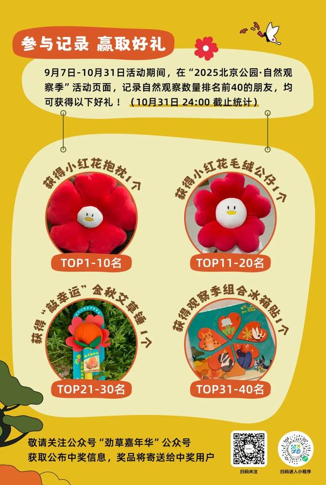 活动报名｜北京公园自然观察季 9.15-9.21 解锁秋日身边野趣～