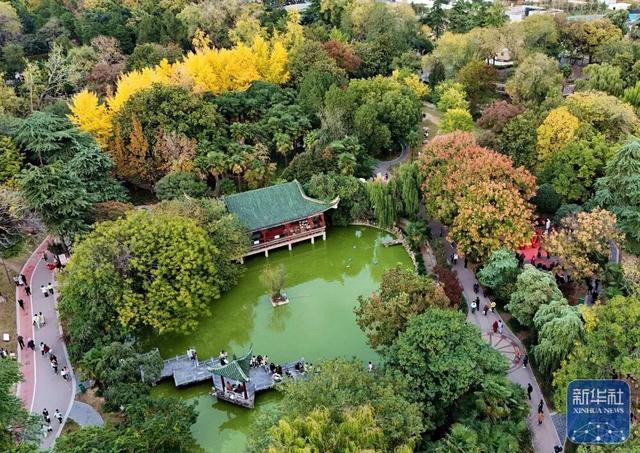 秋声渐杳 斑斓成诗