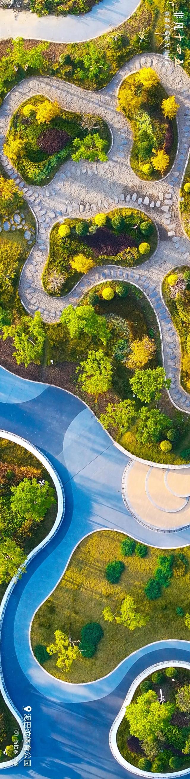 飞“阅”新都 | 一座生长在公园里的城市