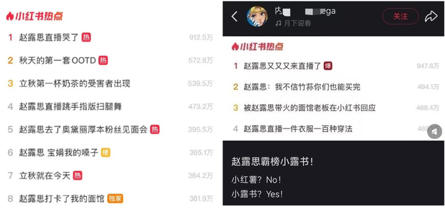 12年来首次被单独“约谈”，小红书难以抉择的十字“露”口