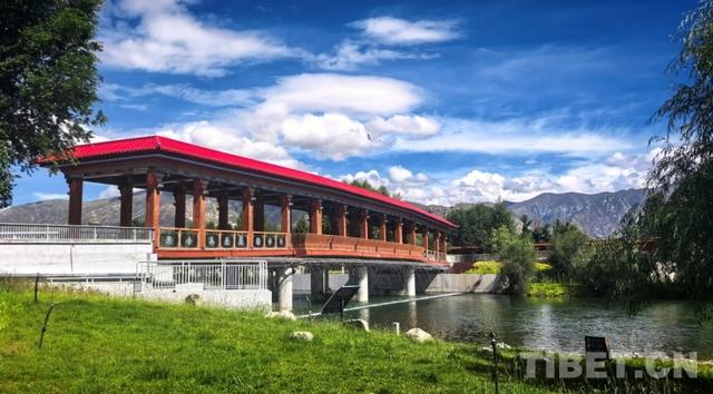 辉煌60年·我们的家园｜昔日荒滩变身美景 拉萨的诗意写在绿水青山间
