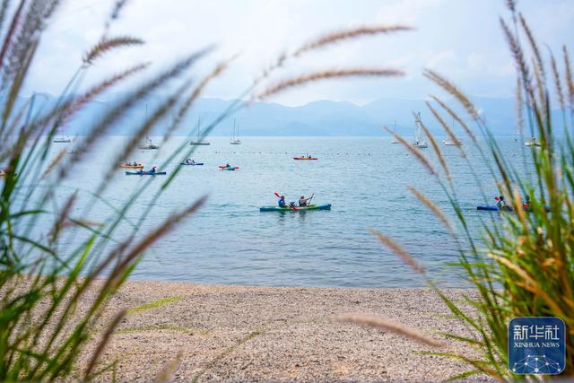 抚仙湖夏日引客来