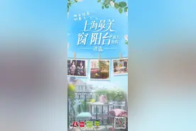 顾问天下 | 报纸去哪儿了？图片